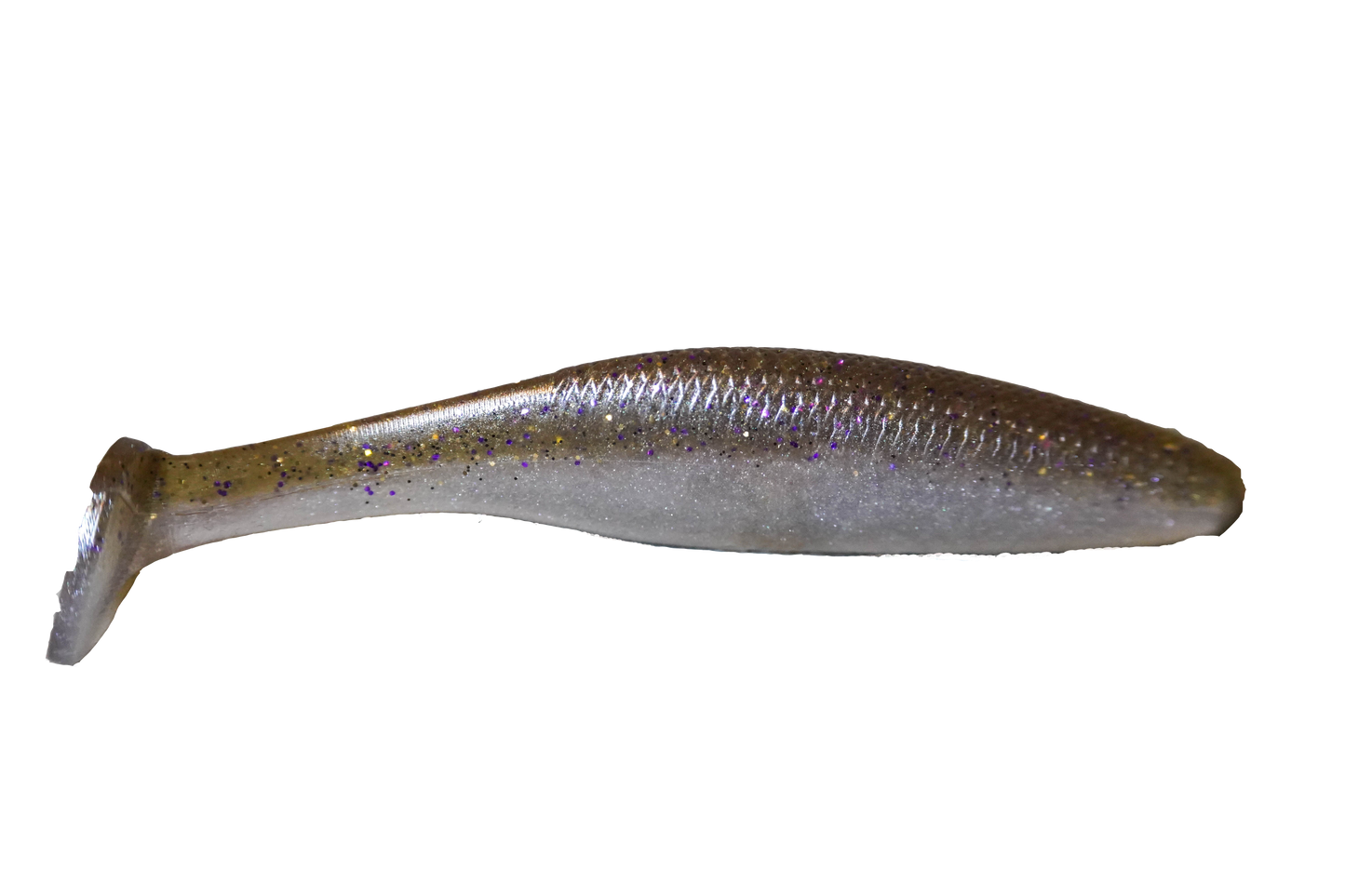 3.8” Cave Swimmer