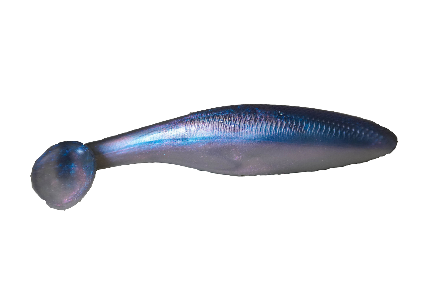 3.8” Cave Swimmer