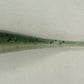 4.5” Bloom Shad