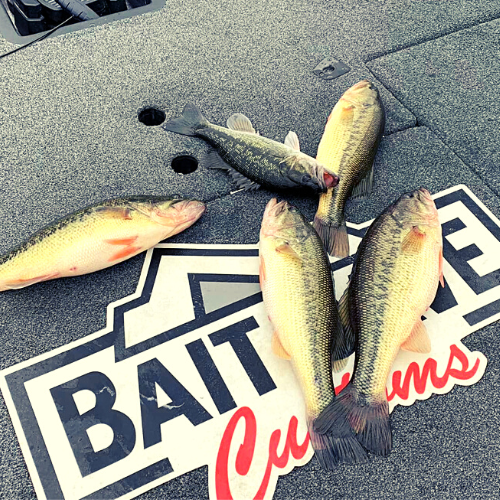 Fishing Tackle Causeway Bait Shop Causeway Bait And Tackle Bobby